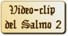 Video-clip Salmo 2